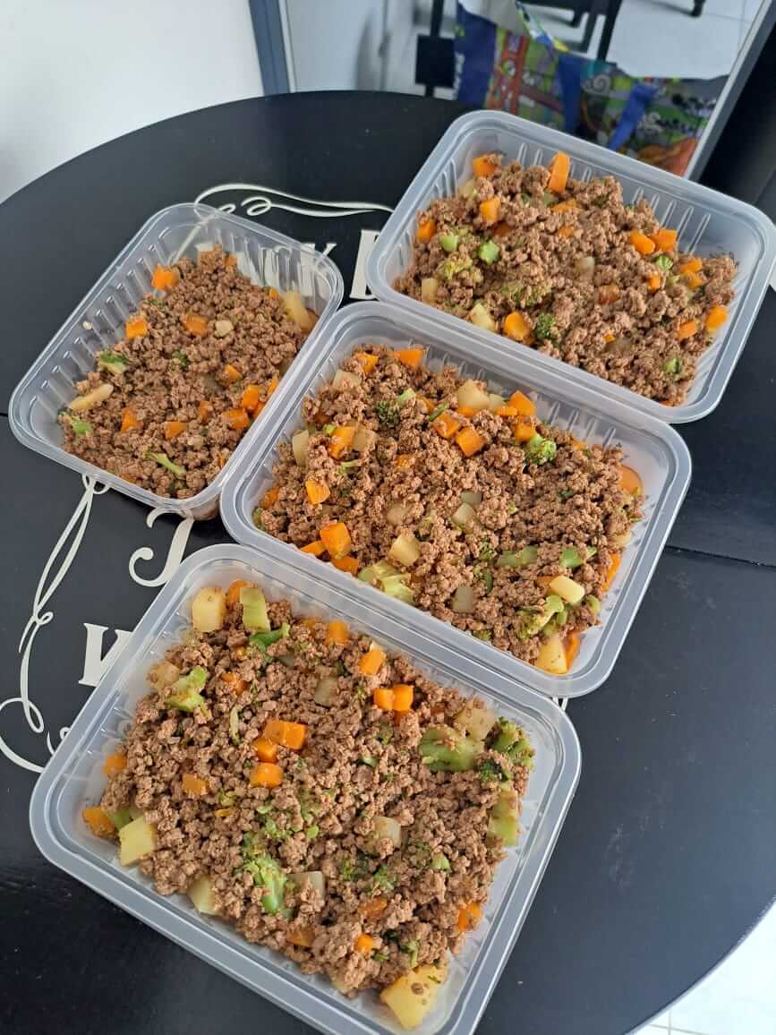 Refeições com carne e legumes organizadas em porções